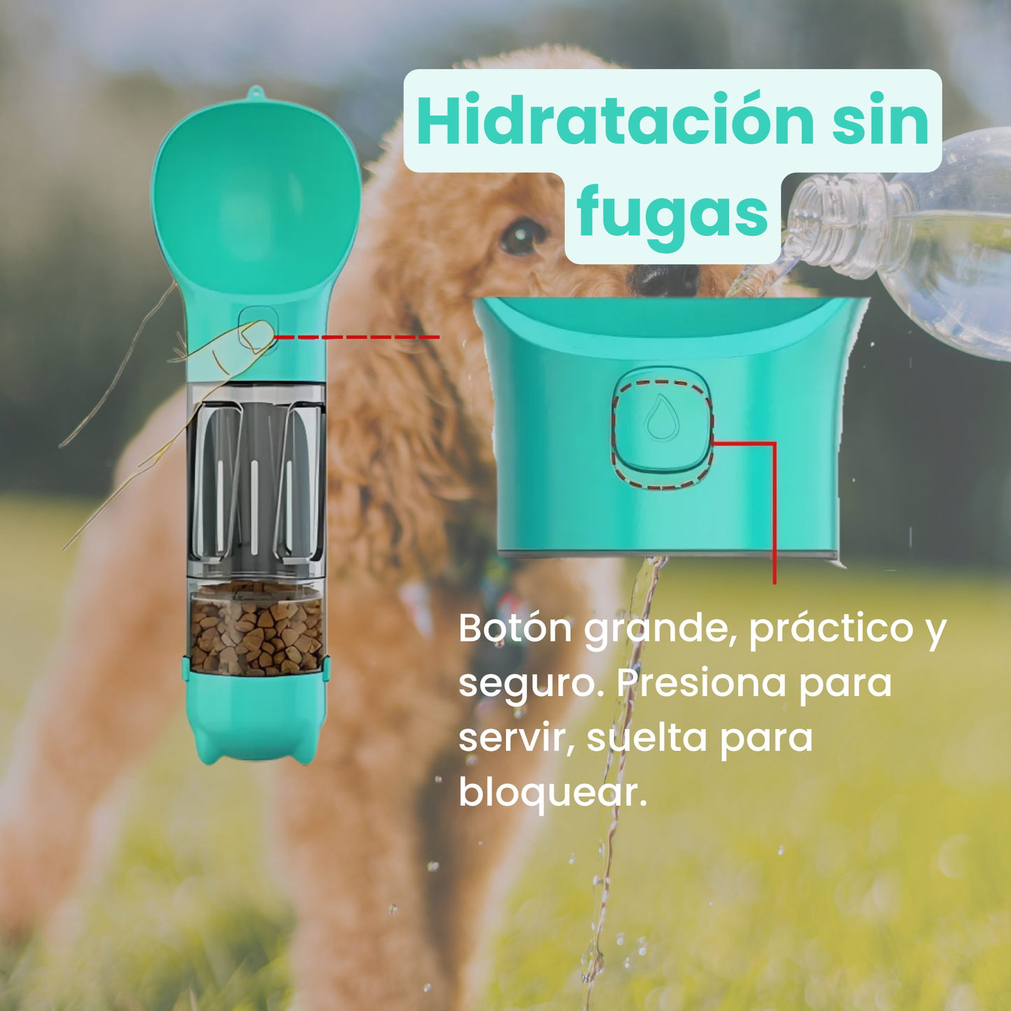 Doogykit