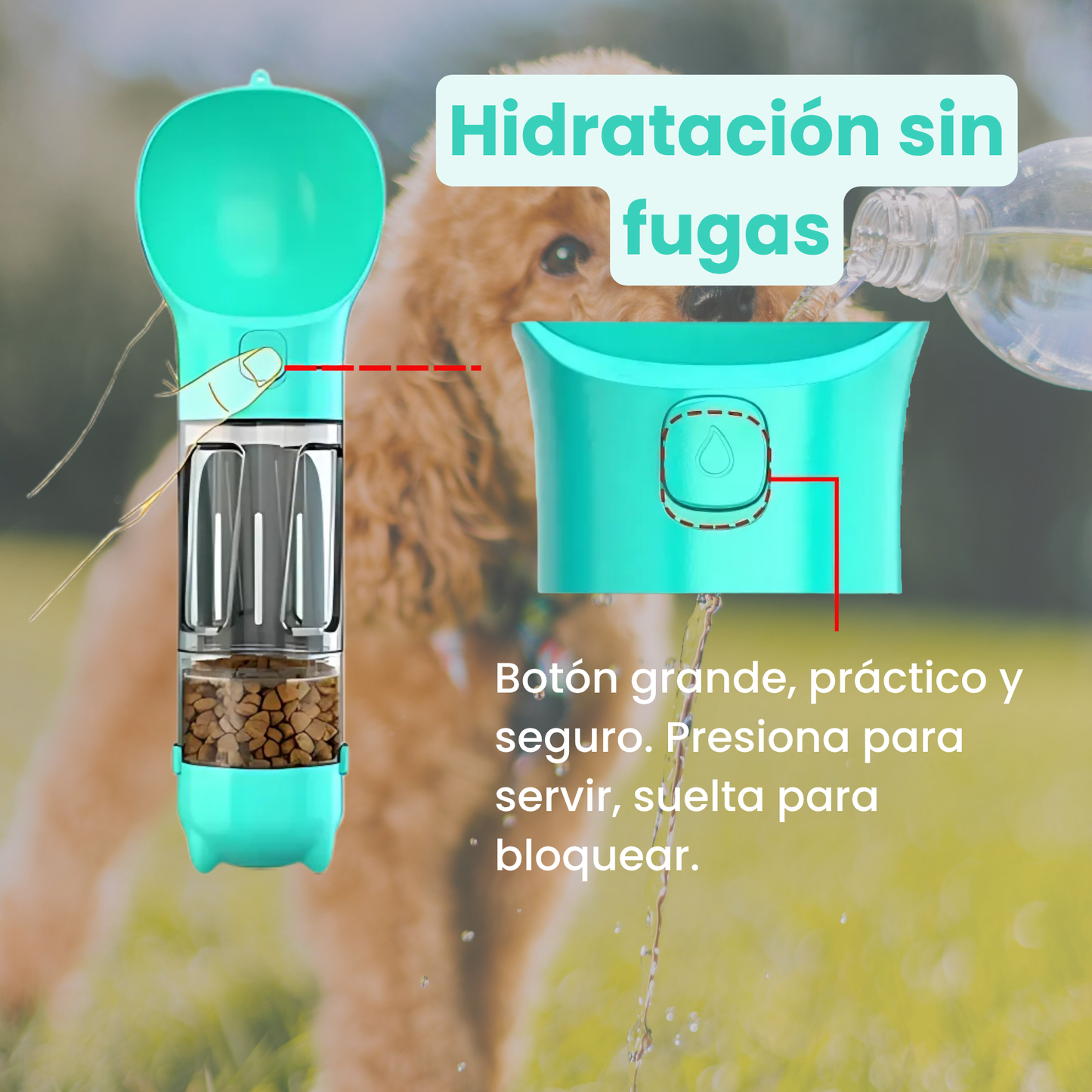 DoogyKit
